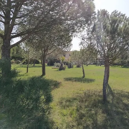 Les Terrasses De La Piscine Apartament *