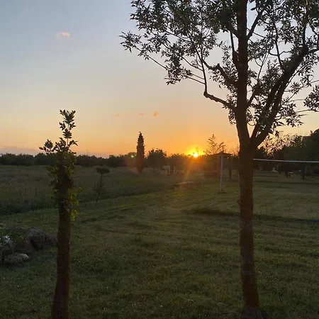 Apartament Les Terrasses De La Piscine *