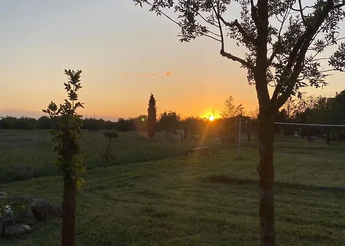 Les Terrasses De La Piscine