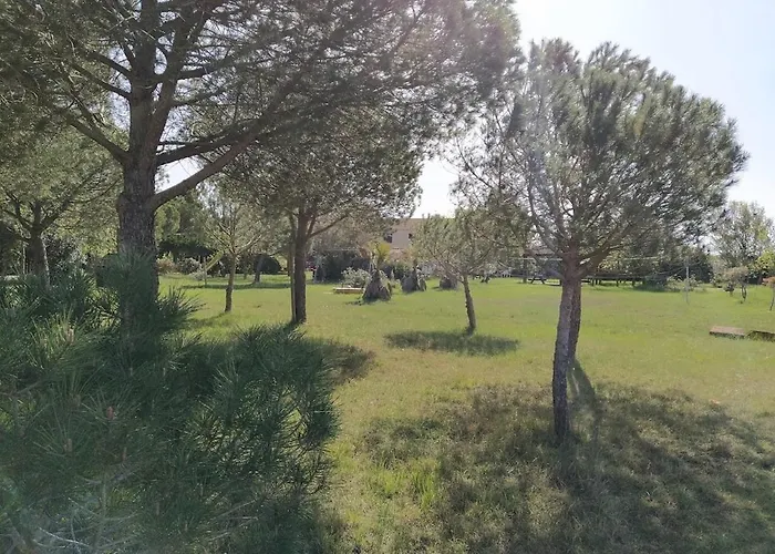 Les Terrasses De La Piscine Appartamento *